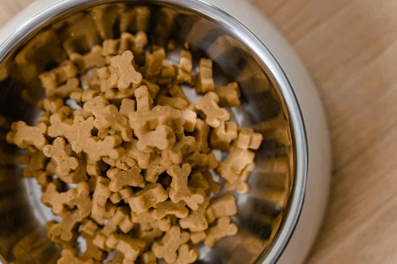 pexels-photo-8434641-8434641.jpg